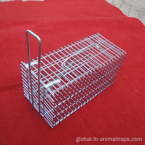 Small Animal Trap Cage Rodent Rat Trap mouse trap cage for house Factory